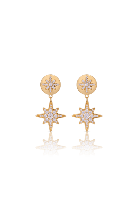 Stellar Rose Earrings