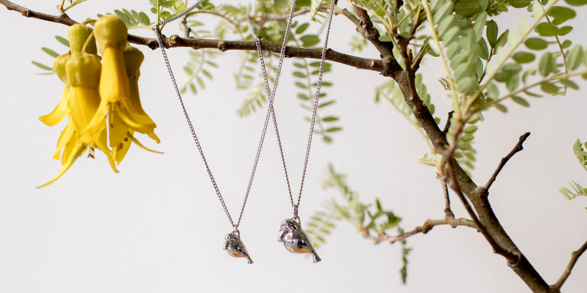 Shop Birdland