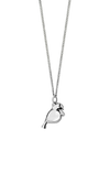 Tui Pendant