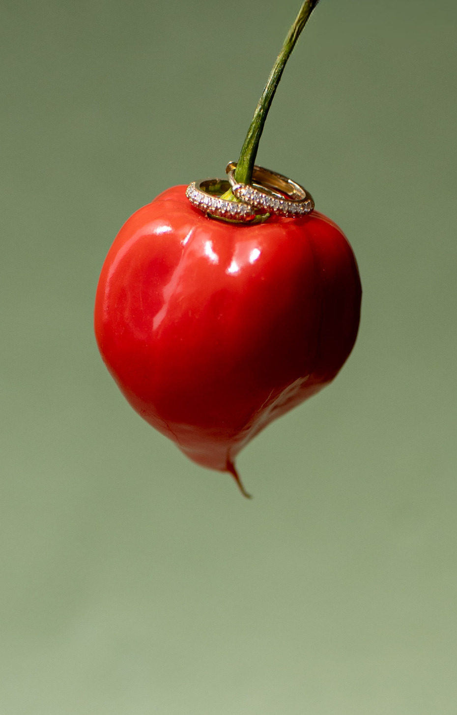 Essential Double Band Diamond Huggies