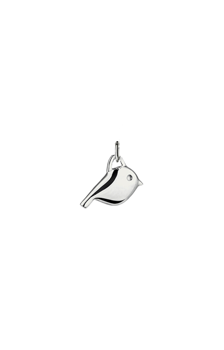 Robin Charm