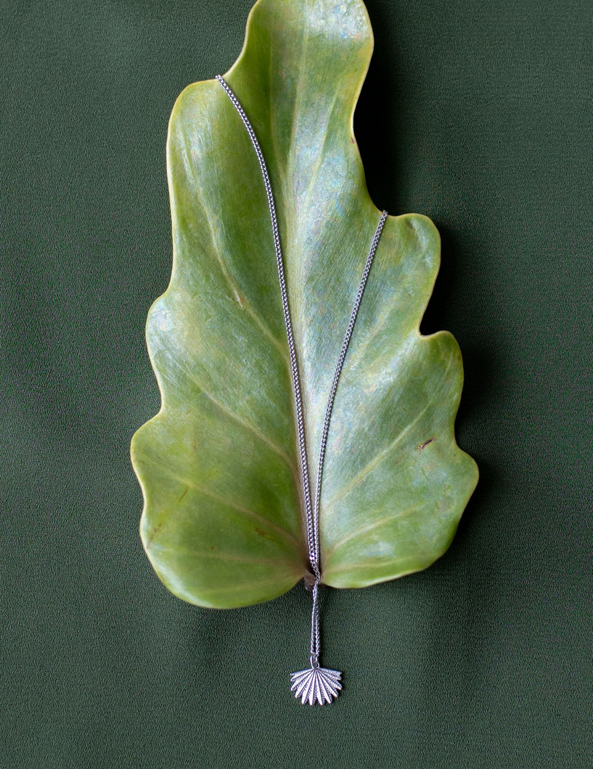 Graduation Gifts