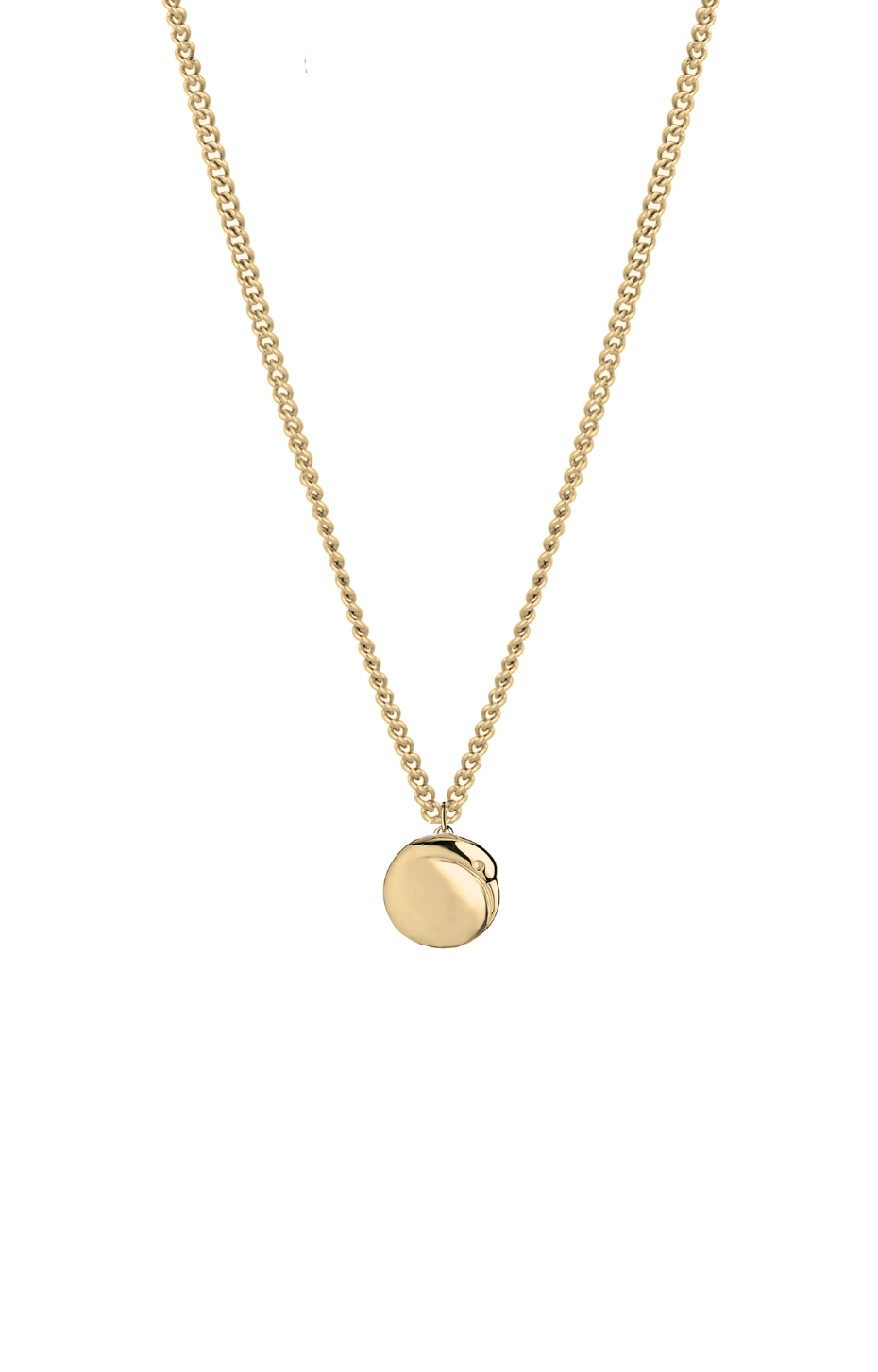 Baby Kiwi Pendant
