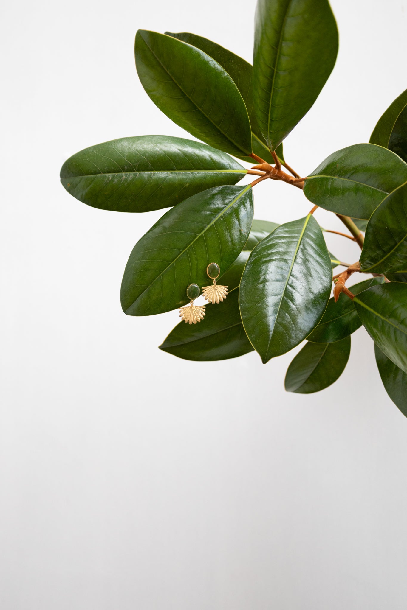 Boh Runga Jewellery | New Zealand Jewellery | Silver & Gold Jewellery