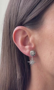 Stellar Rose Earrings