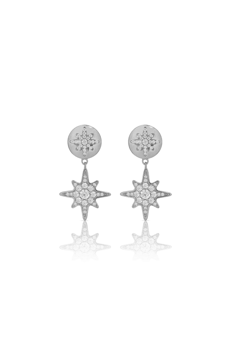 Stellar Rose Earrings