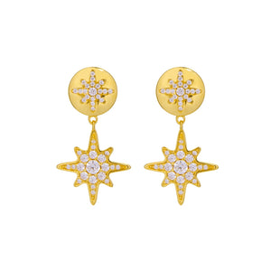 Stellar Rose Earrings 14CT Yellow Gold Plated